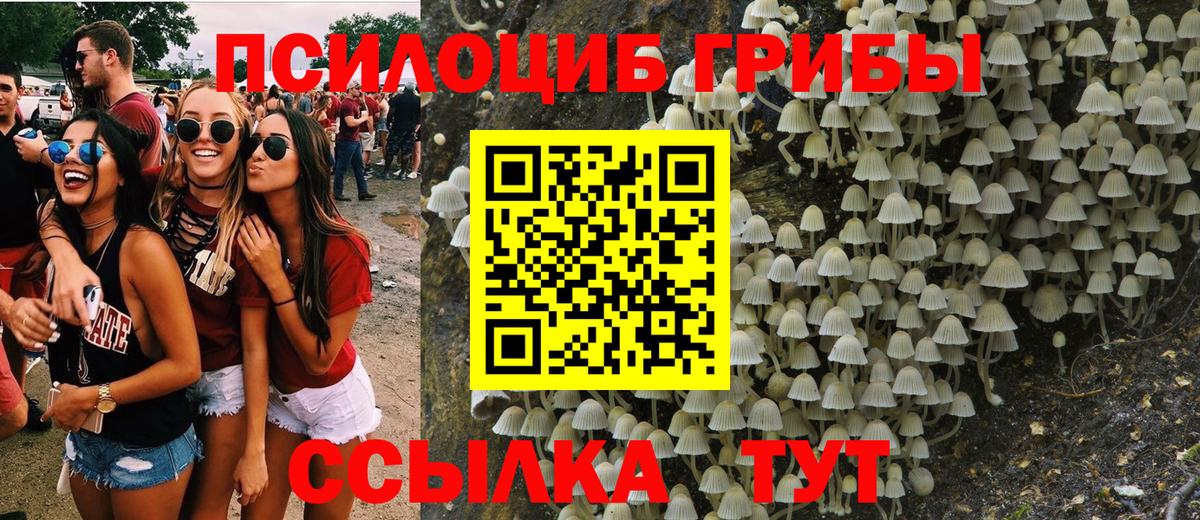 Лабинск  купить наркоту  Вход с VPN  Галлюциногенные грибы Cubensis 